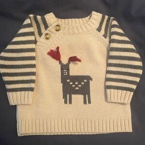 Tea Collection Sweater